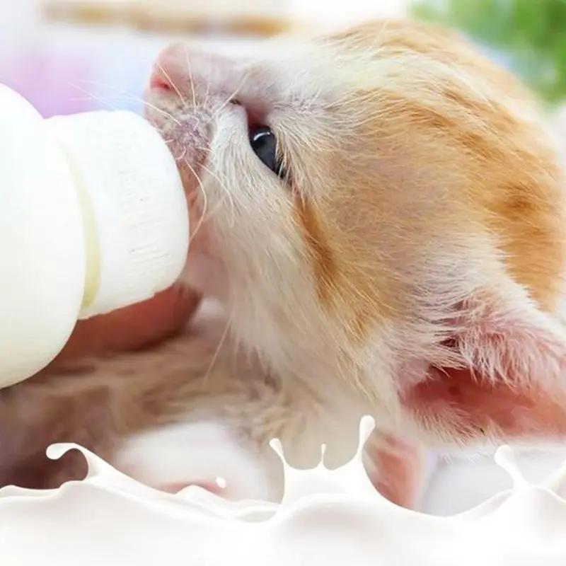 Máy Cho Thú Cưng Cho Sữa Cho Thú Cưng, Bình Cho Thú Cưng 60ml, Núm Vú Mềm, Bình Cho Thú Cưng Cho Ăn, Với Cân, Bộ Dụng Cụ Cho Thú Cưng, Tương Thích Với J7N4 5
