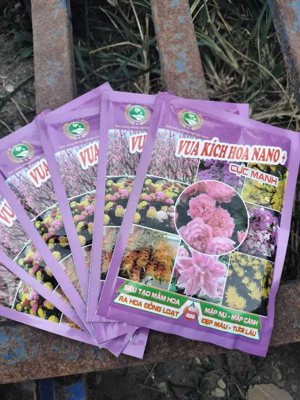 Vua kích hoa nano Cục mạnh tạo mầm hoa , mập nụ , mập cành , ra hoa đồng đều 4