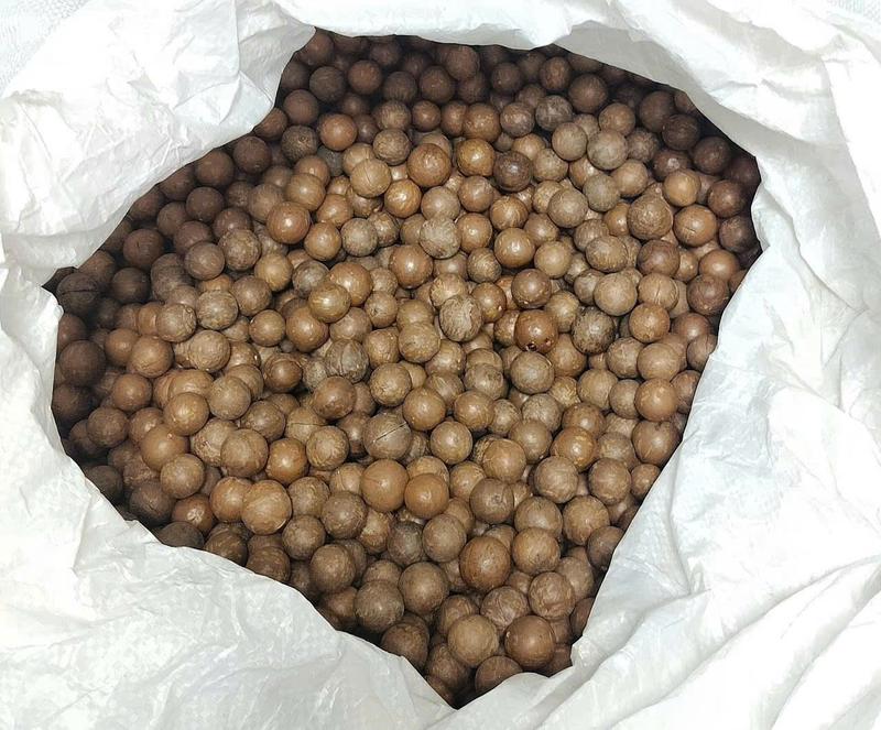 [ComBoo 1Kg] Hạt Macca size Bi  (1.8-2.2cm ), sấy chín   Nông sản sạch ĐắkLắk 4