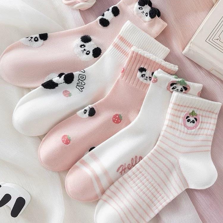 Sét 5 đôi tất nữ cổ trung Cotton thêu gấu trúc mix màu hồng trắng