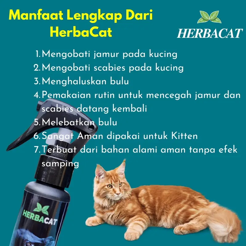 (BISA COD) HerbaCat Spray Obat Anti Jamur dan Scabies Kucing Alami Kesehatan Bulu Kitten fan kucing dan untuk pencegahan penyakit kulit pada kucing 3