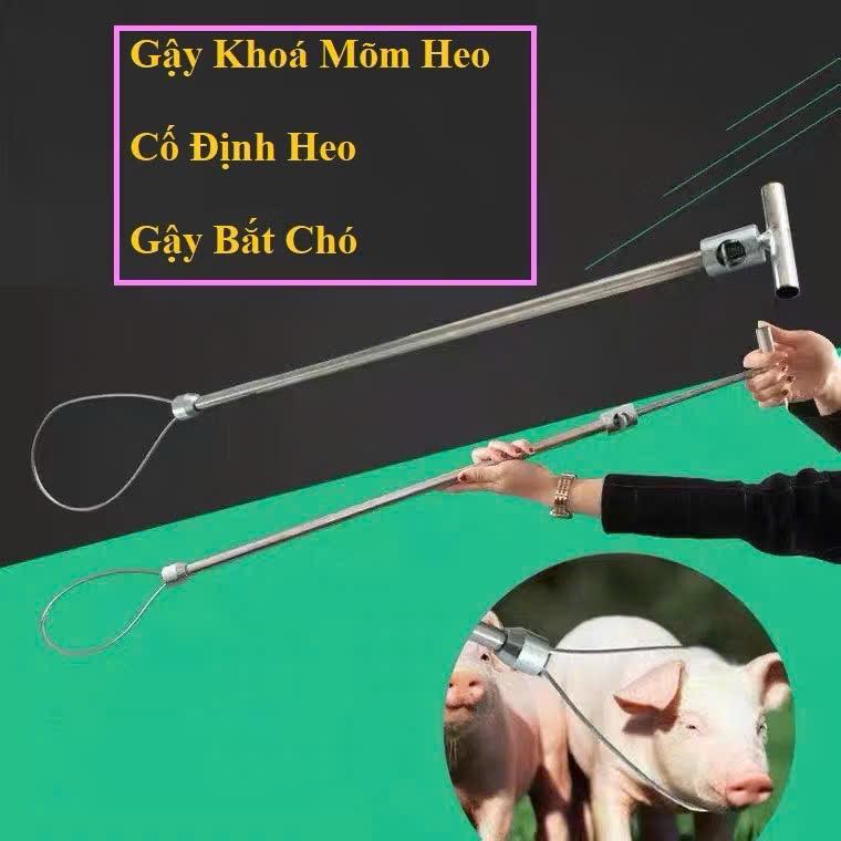 Gậy Khớp Mõm Heo, Thanh Khóa Mõm Heo, Chó Bằng Inox 0