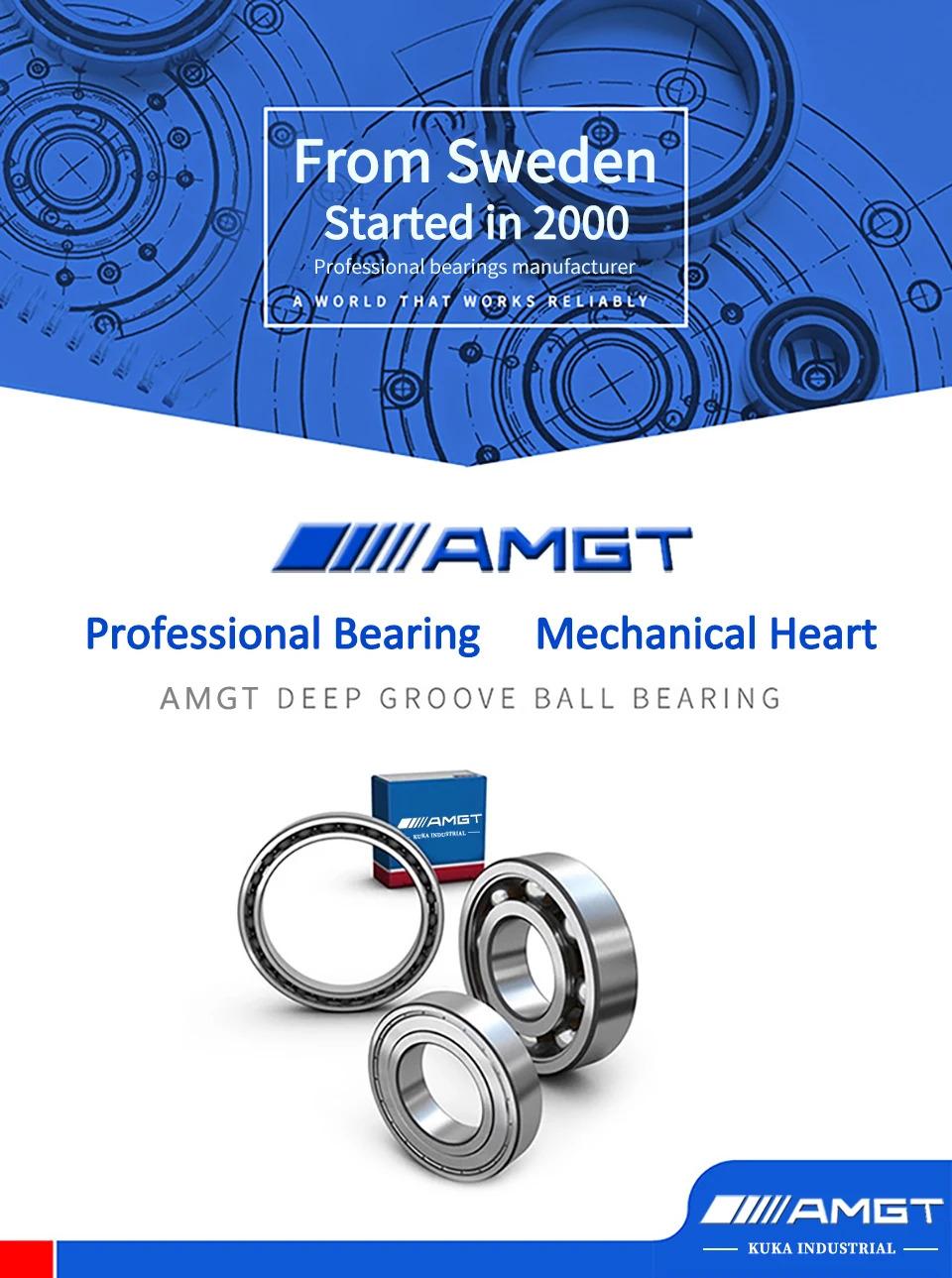 AMGT bearing 6202 6202-2RS 6202-2Z 6202-2ZN 6202NR 6202-2RSNR Deep