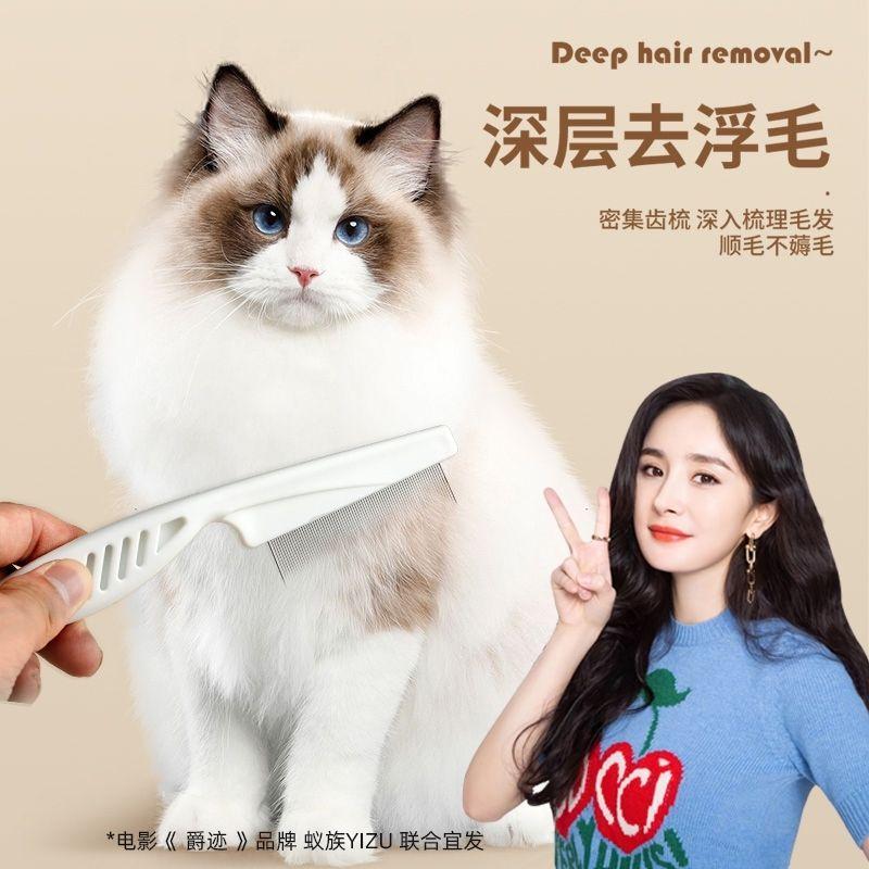 Ant Cat Dog Mouth Hair Comb Dense Gear Small Comb Noodle Com - TikTok ...