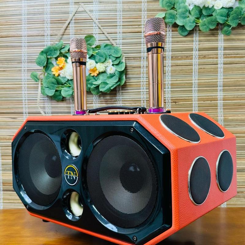Loa Karaoke bluetooth TNPRO 3609 - 2 Bass 20cm + 2 trép + 8 trung - 12 đường tiếng