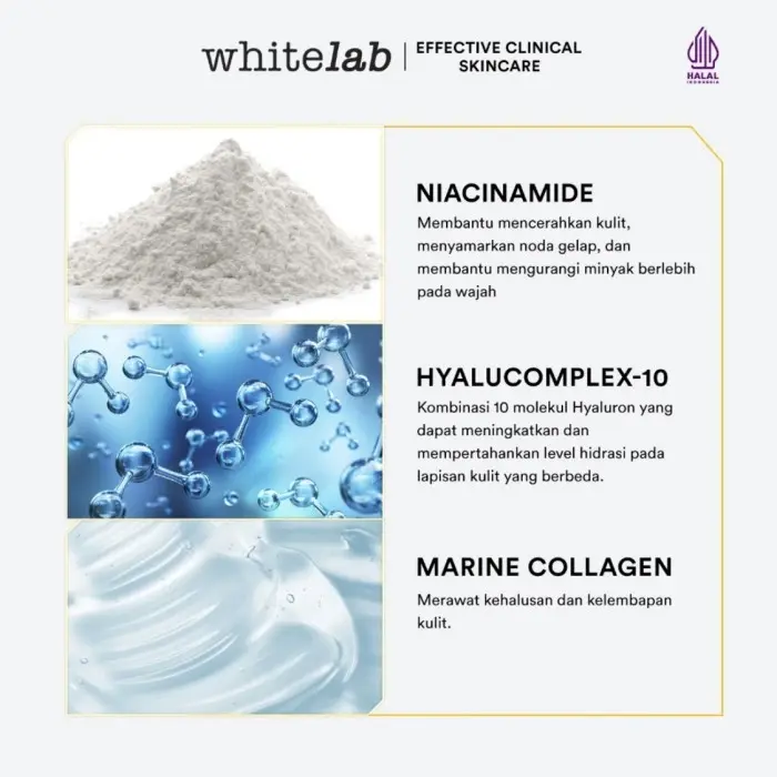 Whitelab Brightening Day Cream - Pelembap Krim Pagi Pencerah Wajah Untuk Kulit Kering Dengan Niacinamide, Hyaluronic & Collagen serum 1