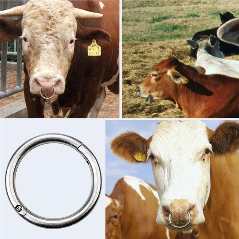 Product Introduction of Cincin Ring Stainless Untuk Hidung Sapi Lembu Kerbau Cow Bull Ox Cattle Nose Ring Stainless 30