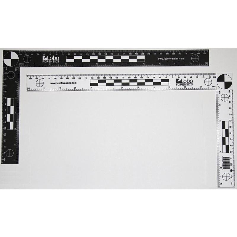 Fractional Bureau Scale designed and the - TikTok Shop