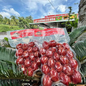 LẠP XƯỞNG CÔ HOÀ-CAI LẬY