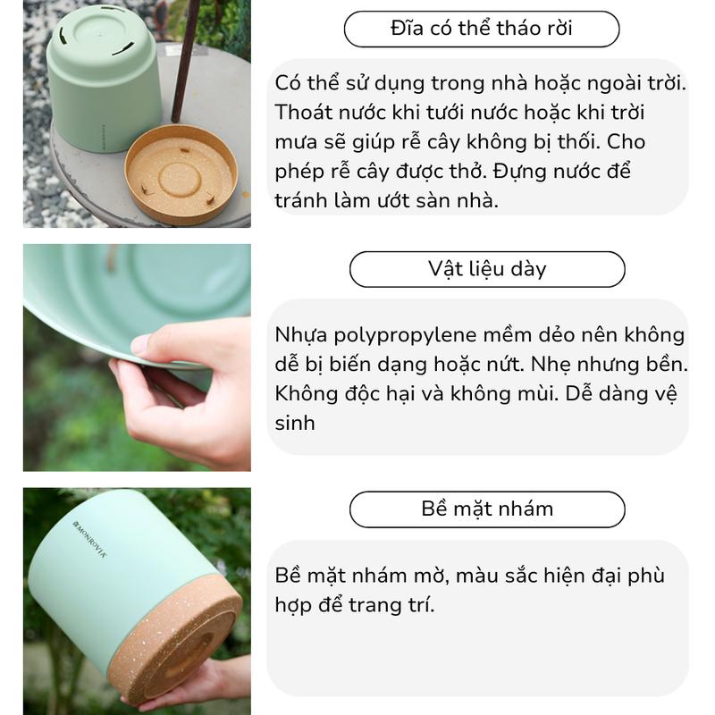 Product Introduction of Chậu trồng cây tự tưới thông minh MONROVIA cho hoa, cây cảnh trong nhà và ngoài trời hình trụ tròn 6
