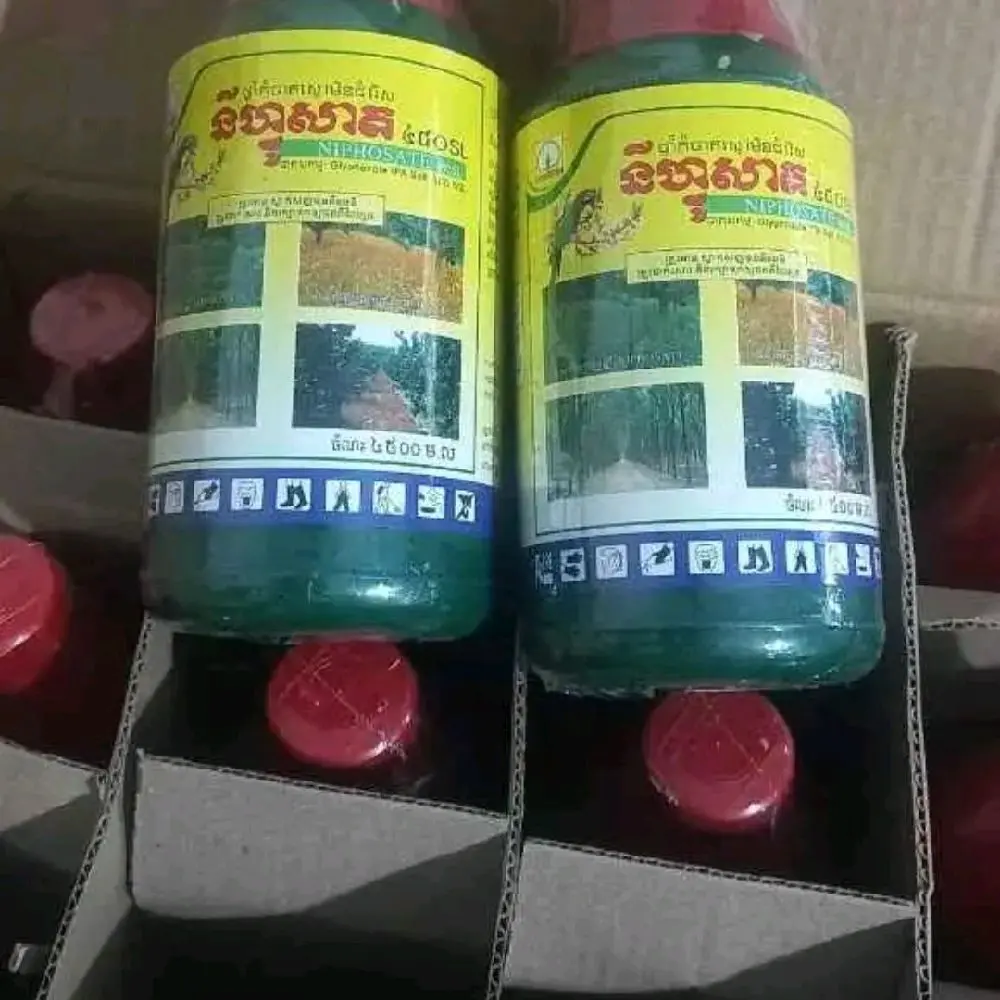 combo 2 chai cambođia ( con vẹt )