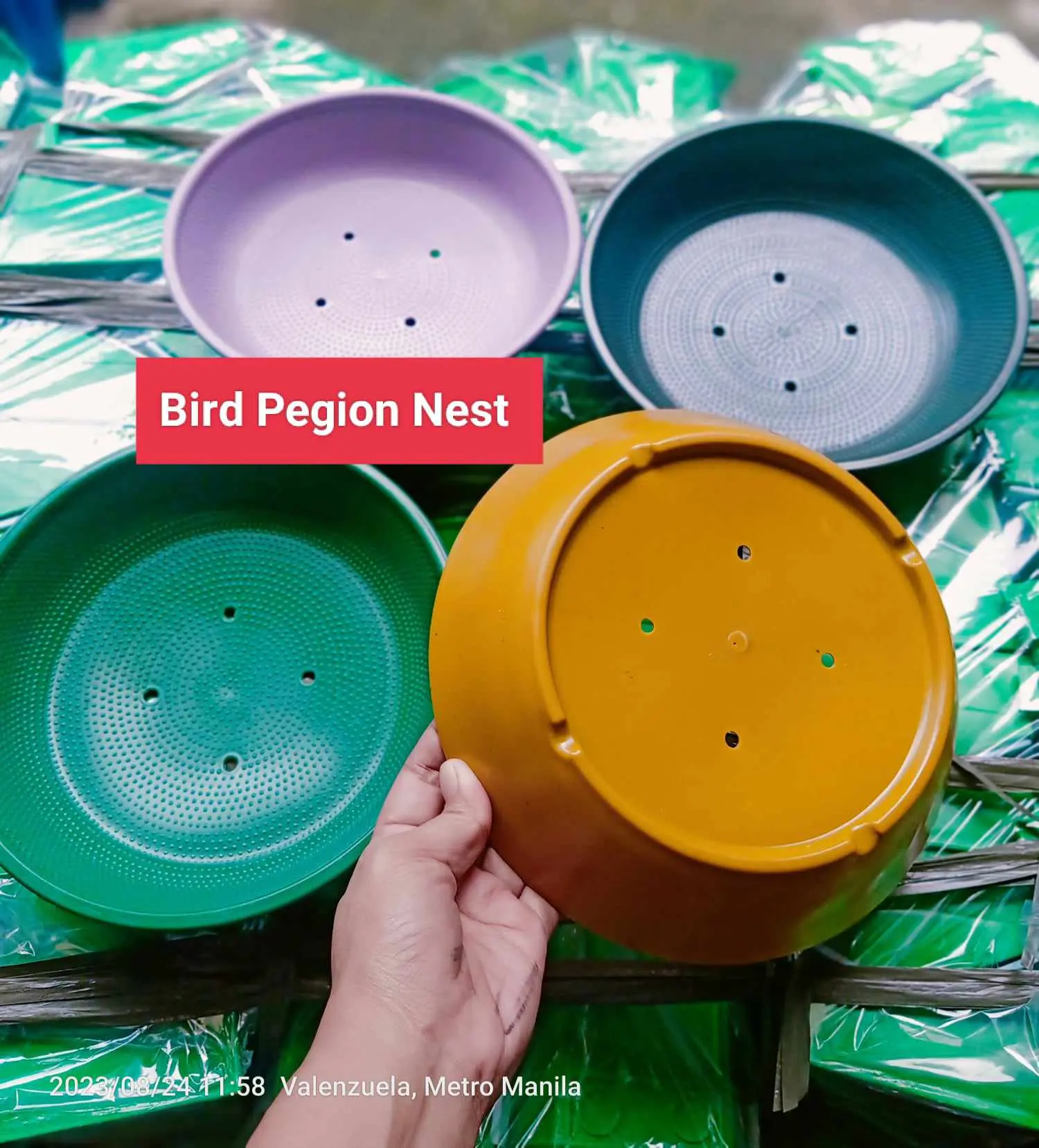 PEGION NEST BOWL PLASTIC ( PA-ITLOGAN )
