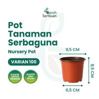 Gambar Pot Nursery 100 / Pot Elastis 8,5 cm - Serbaguna untuk Bibit Sayur & Bunga - Benih Seribuan - POT NURSERY 100 dari Benih Seribuan Kab. Boyolali 1 Tokopedia