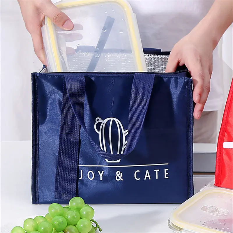 Túi Đựng Đồ Ăn Trưa Giữ Nhiệt, Cầm Tay Dễ Thương, Dành Cho Nữ, Thích Hợp Cho Văn Phòng Và Dã Ngoại, Cách Nhiệt, Hộp Đựng Thực Phẩm, Hộp Cơm Bento, Túi Làm Mát