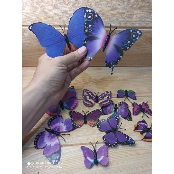 stiker 3d kupu kupu isi 12 5