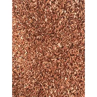 Ketan Merah/ Pulut/ Sipuluik kemasan 1kg Food Nasi Rice 0