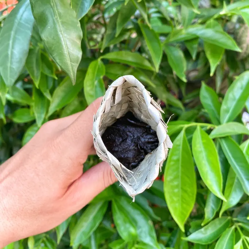 [1 PCS] Dodol Tradisional Sidempuan/Dodol Kampung/Alame Khas Sidempuan/Tapanuli Selatan 250gr (Harga 1 PCS, Tidak Pakai Lapis di dalam, bisa dipotong dan harus menunggu 7-10 hari agar mengeras) 2