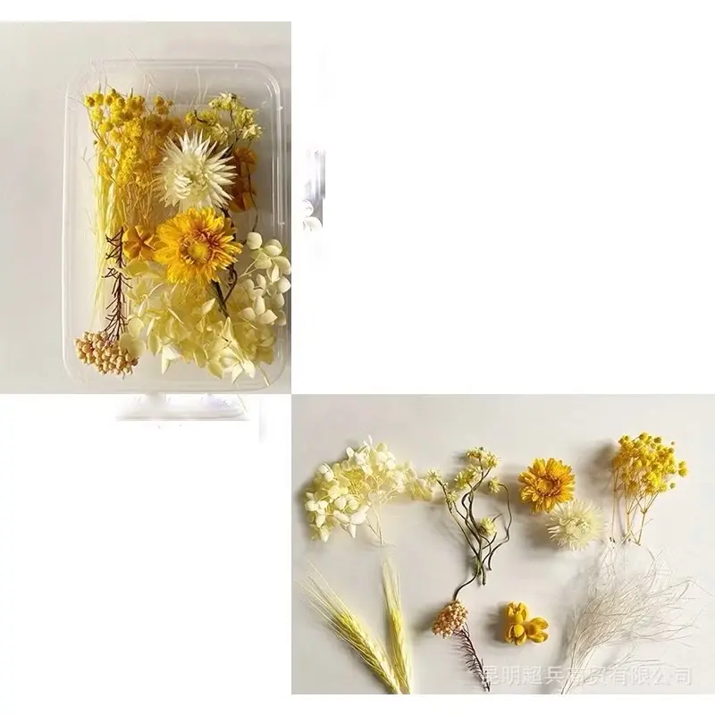Hoa khô nhiều mẫu mới về dùng làm handmade, khung tranh, nến, sáp thơm, resin, trang trí. Kawaii - Thế giới hoa khô 4