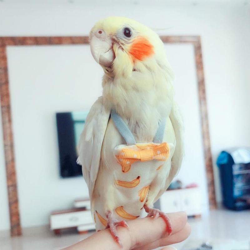 Product Introduction of Parrot Diaper Flight Suit Diaper Clothes Parrot Parakeet Pigeon Medium Large Pet Bird 45
