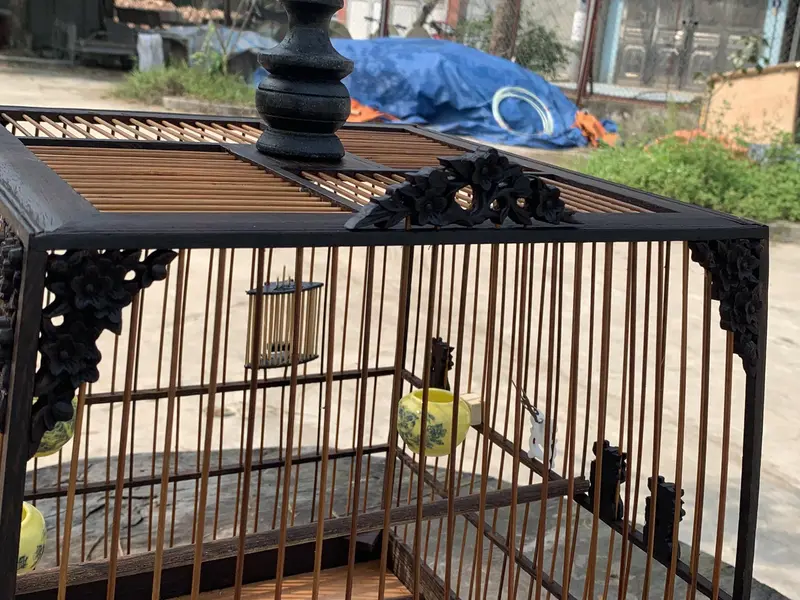 Khung lồng chào mào đục hoa mai gỗ mun cực đep giá rẻ VUMINO 8