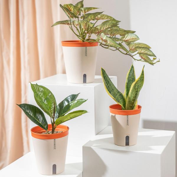 Product Introduction of Chậu trồng cây tự tưới Monrovia, phong cách Nhật Bản, sang trọng, decor bàn làm việc, văn phòng, trong nhà, ngoài trời 2