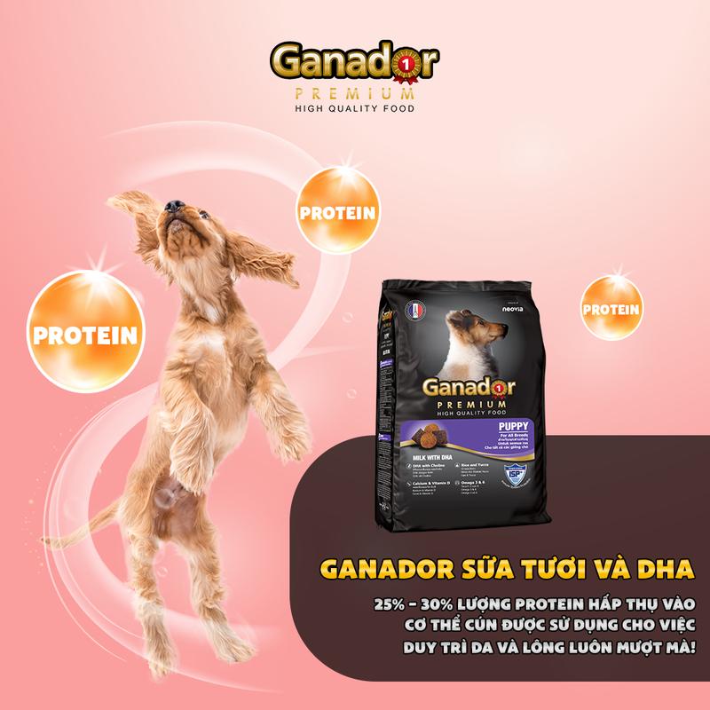 Product Introduction of (3kg) Thức ăn hạt Ganador dành cho chó con,chó trưởng thành đủ các vị 7