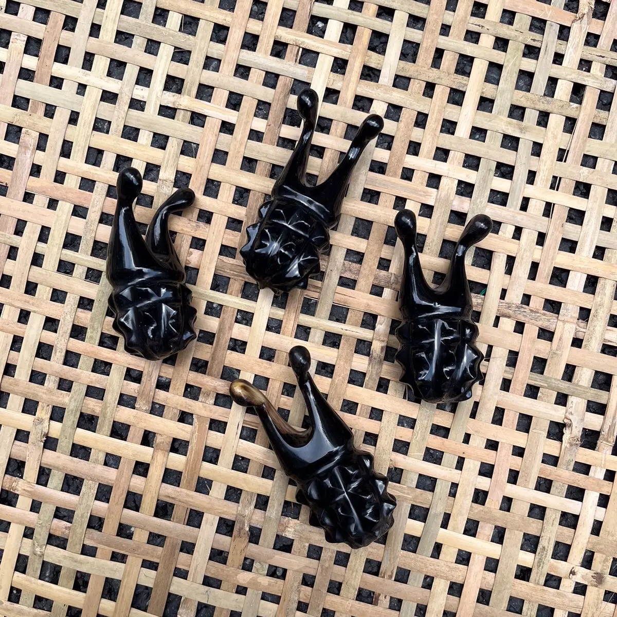 Ốc sên thân dứa