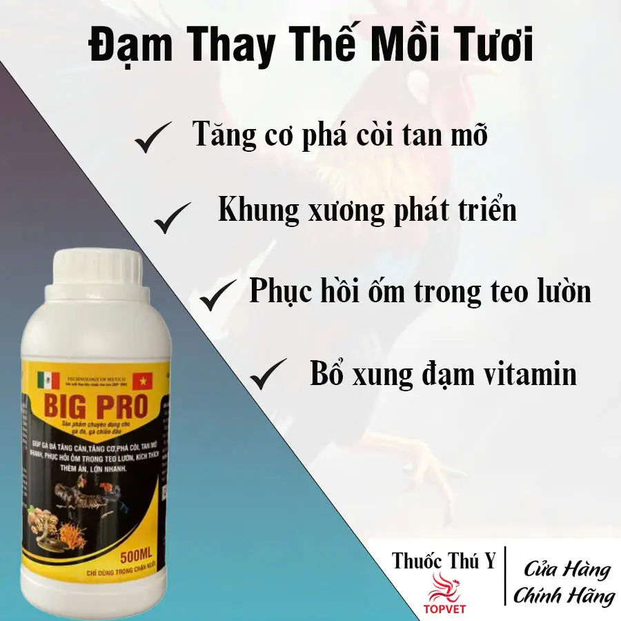 BIG PRO dung dịch thay thế hoàn toàn mồi tươi, dành cho gà đá + gà tre , giúp khung xương phát triển, tăng đề kháng, phục hồi thể trạng