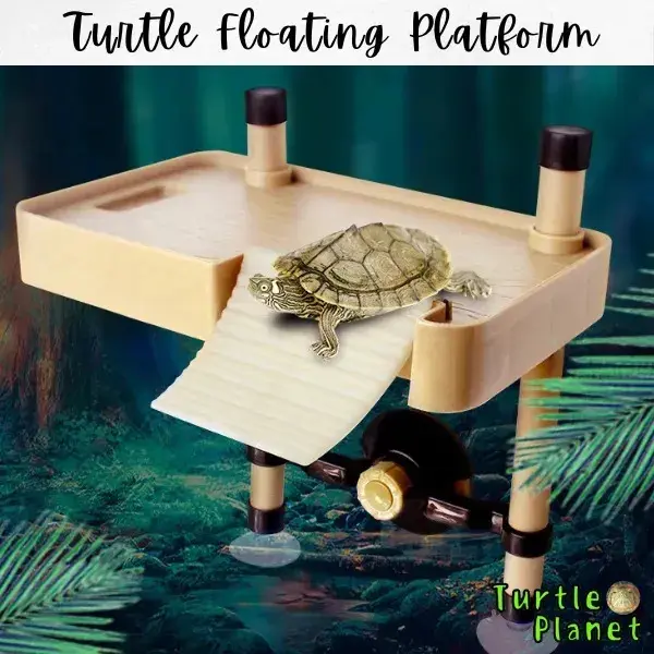 Turtle Basking Floating Platform aquarium turtle ramp Turtle small sun drying platform, floating island, floating platform, climbing slope