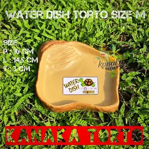 Water Dish Torto Size M - Bahan Resin
