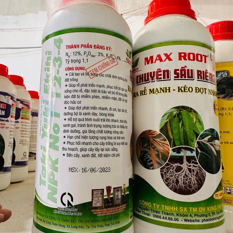 Chuyên cho cây sầu riêng ra rễ nhanh - kéo đọt nhanh 1