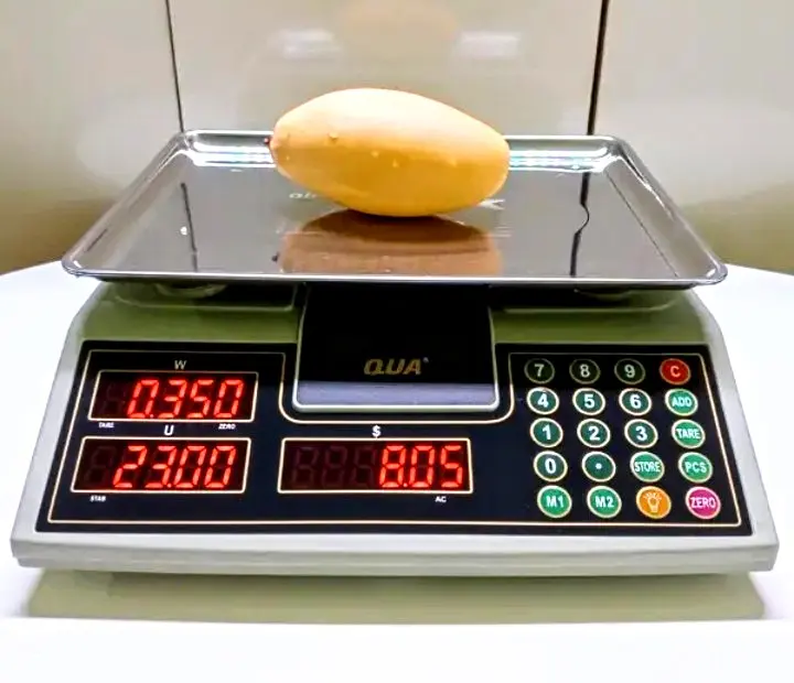 Cân điện tử tính tiền 2 Mặt 30kg - QUA 910