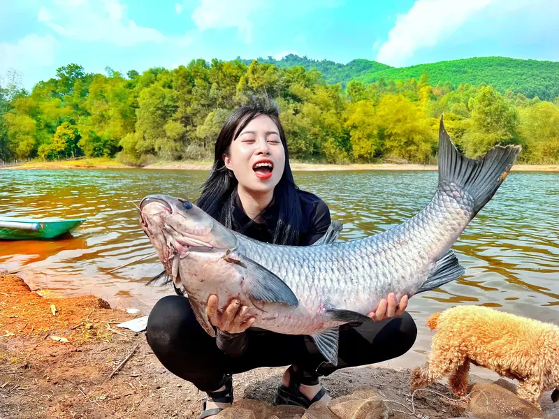 [LK HÒA] THÍNH CÂU CÁ LK HOÀ (CHUYÊN CÂU ĐÀI- LĂNG XÊ- LỤC) Fishing Bắt Cá Đi Câu Nam 6