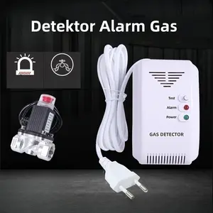 Solenoid Gas Detektor Solenoid Gas Detector
