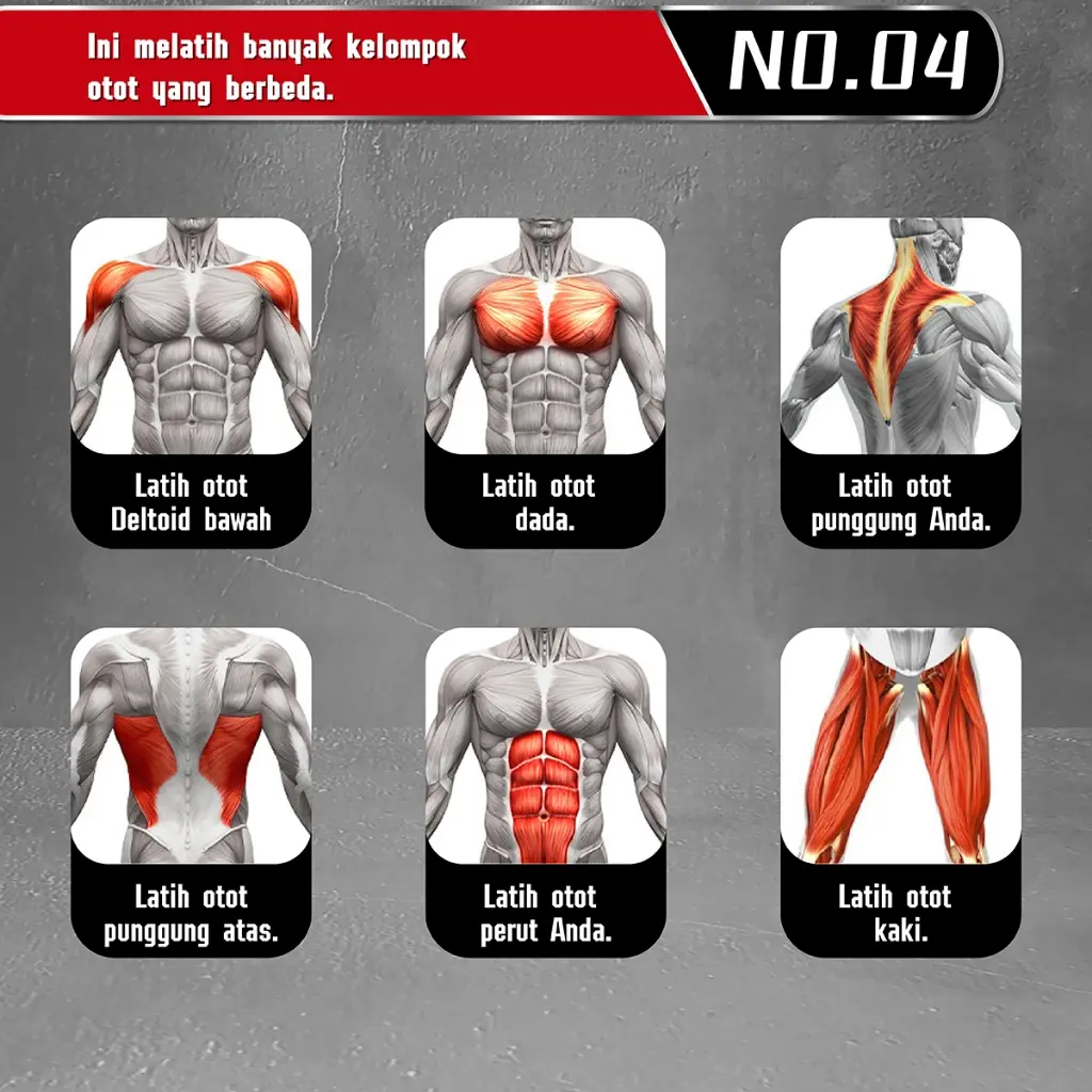 Better sport Papan Push Up & Sit Up All in One  5 in 1 - Alat Fitnes Olaharga Multi Fungsi untuk Otot Dada, Perut