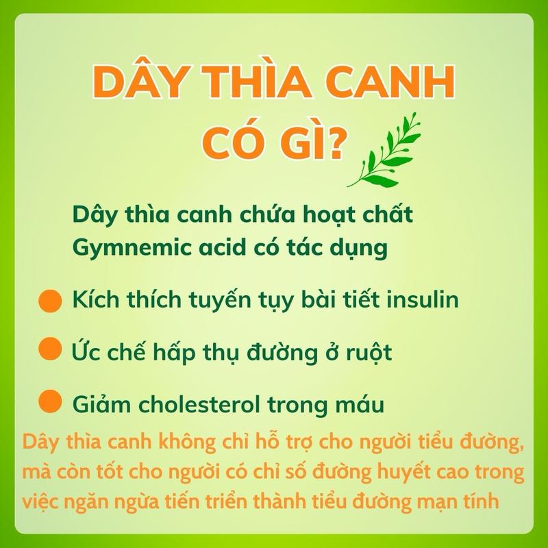 Combo 3 hộp Trà dây thìa canh Mộc Can túi lọc Nước Trà đắng nhẹ ngọt hậu dễ uống Tea Chè - 25 túi lọc loại 5g/túi 2
