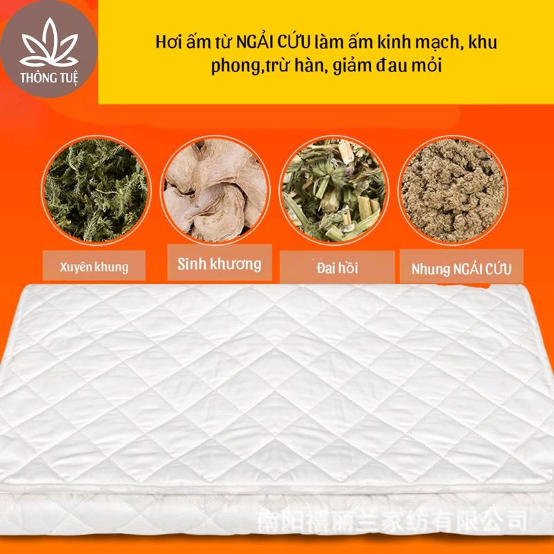 Đệm Ngải Cứu Chườm Ấm Cơ Thể - Hàng loại 1 Máy Massage Massage 4