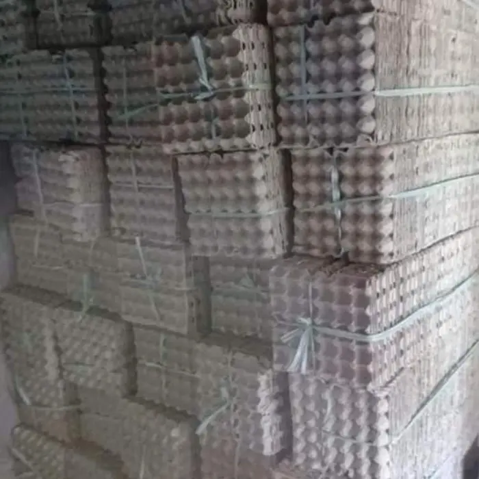READY tray karton untuk kerajinan tangan / tempat telur harga 1 lembar