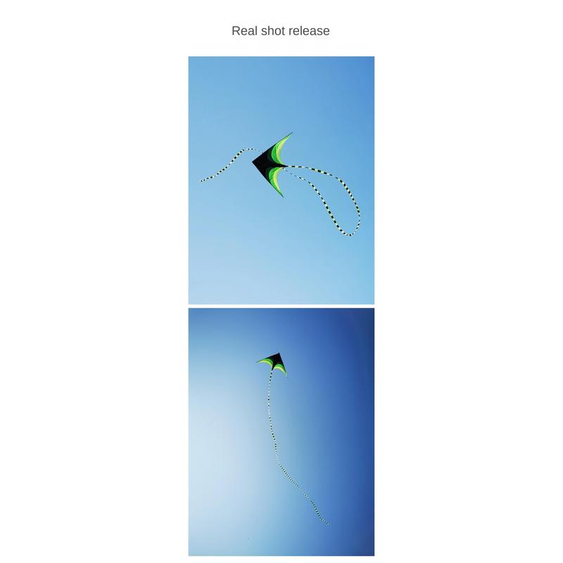 Product Introduction of New Easy Fly 1.6m Large Delta Kite with 100M Kite Line Long Tail Rainbow Kite Ripstop Children Outdoor Toys Kites Family Trips 27