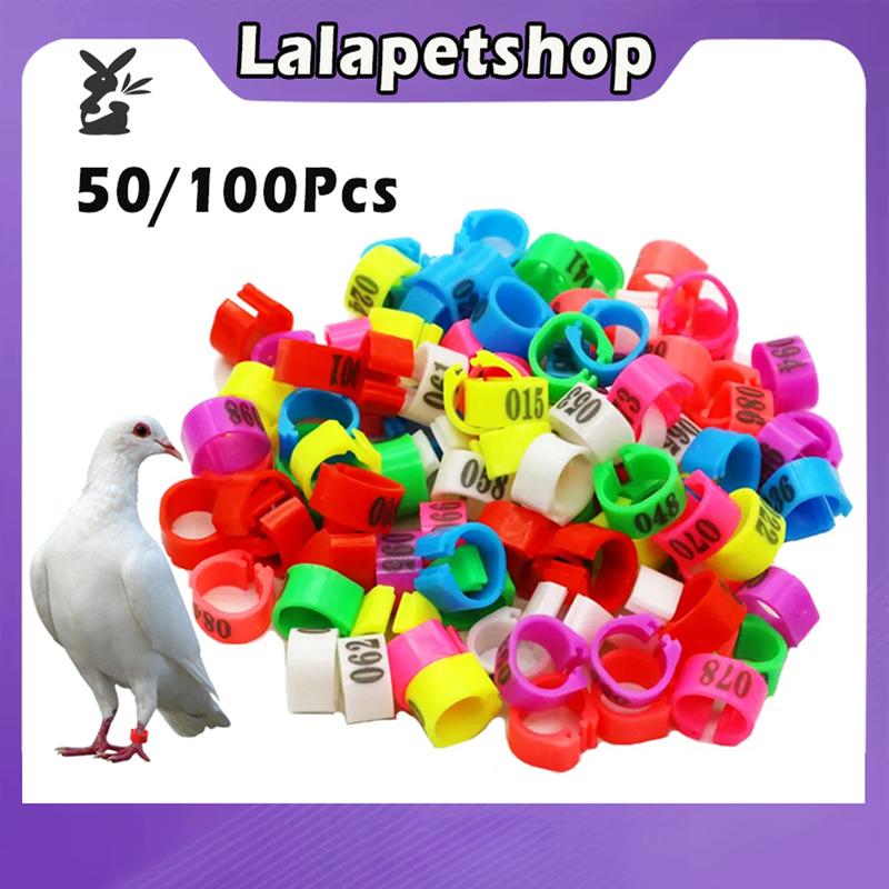Pigeon Bird Foot Ring Pigeon Ring Colorful Identification Bird - TikTok ...