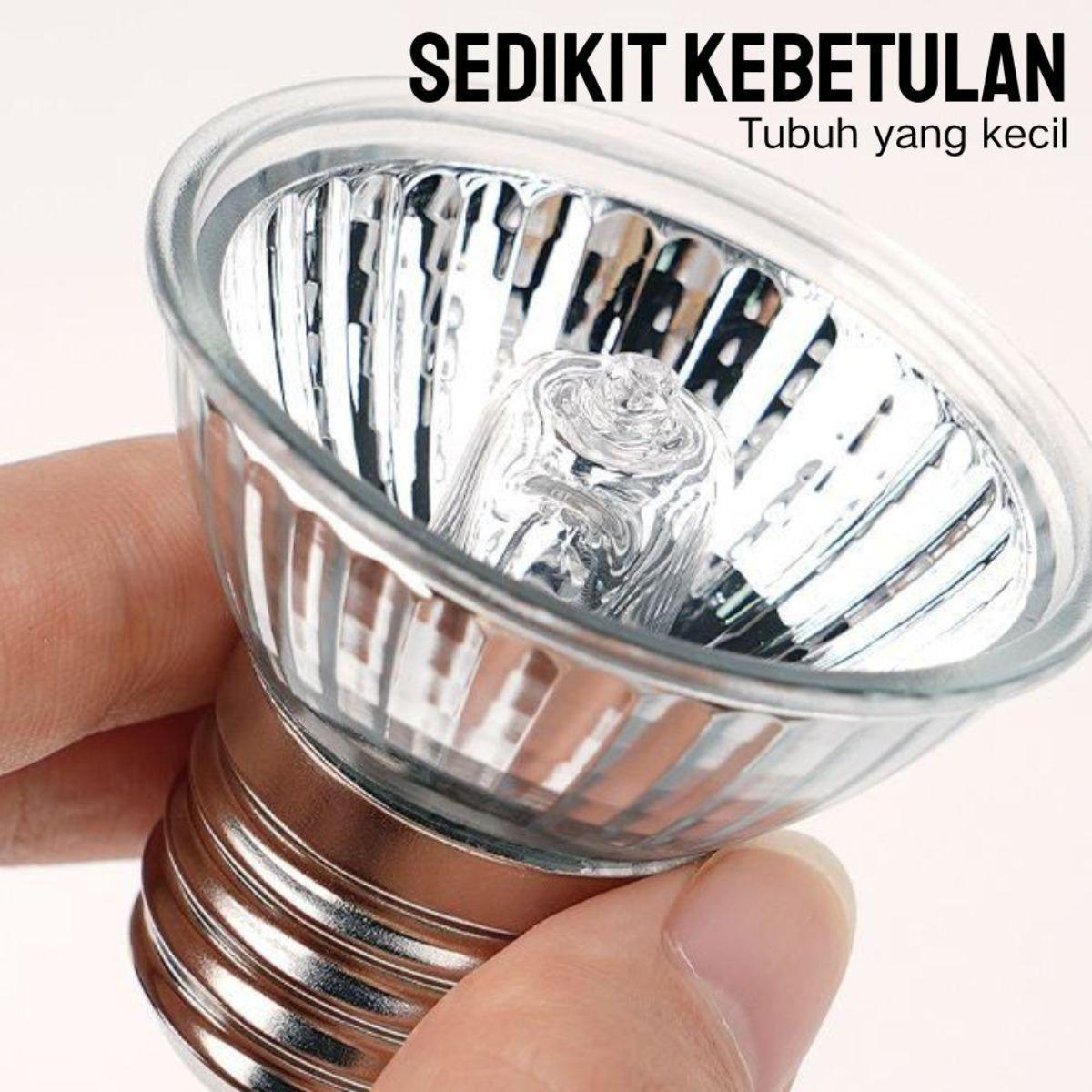 Terbaik untuk Ikan Kadal & Buaya: Lampu Kepiting Berjemur UVB & Pemanas, Suhu & Kecerahan Dapat Disesuaikan – Model [Model Name], Panjang [Panjang cm], Lebar [Lebar cm]