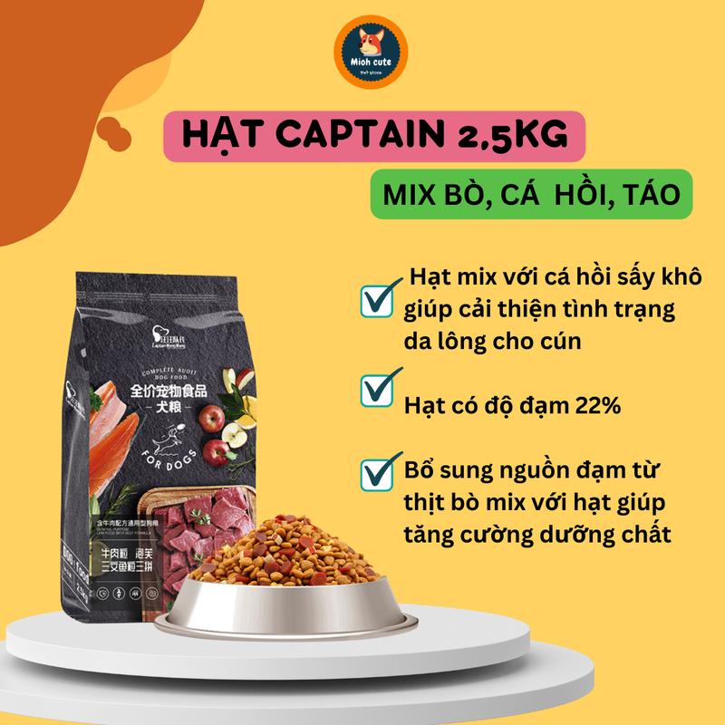  Túi Chiết - Thức ăn cho chó Hạt Captain  cho chó mix với bò cá hồi táo sấy Bổ Sung Dinh Dưỡng 