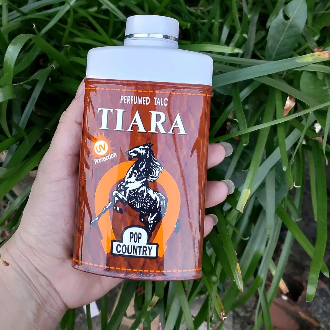 Phấn rôm con ngựa Tiara pop country chai 90g