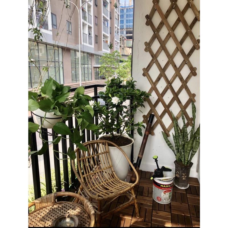 [Cao Cấp] Khung giàn gỗ treo cây ban công, Giàn leo hoa hồng gỗ KT 140x 60 cm Goodwood - Gỗ keo tự nhiên, chống mối mọt, ẩm mốc 3