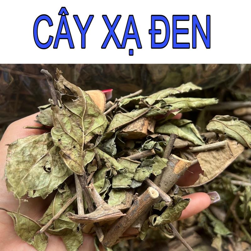 1kg cây xạ đen hòa bình khô thanh lọc mát ga.n trà giải độc