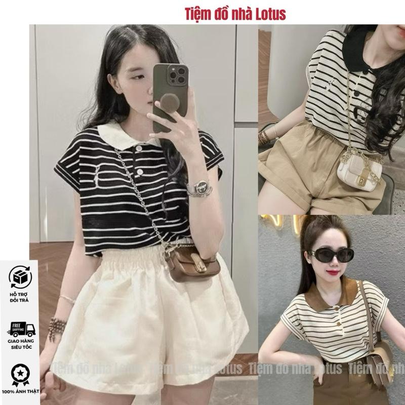 Video SP -￼Áo len nữ, áo len TAY HẾN mongtoghi cổ bẻ sọc ngang thêu hình dáng ôm vừa phong cách Hàn Quốc màu trắng đen nâu - Tiệm đồ nhà Lotus