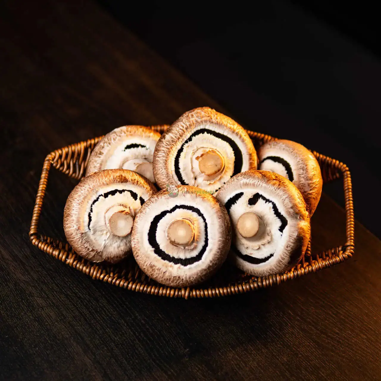Portobello Mushroom (KG±)