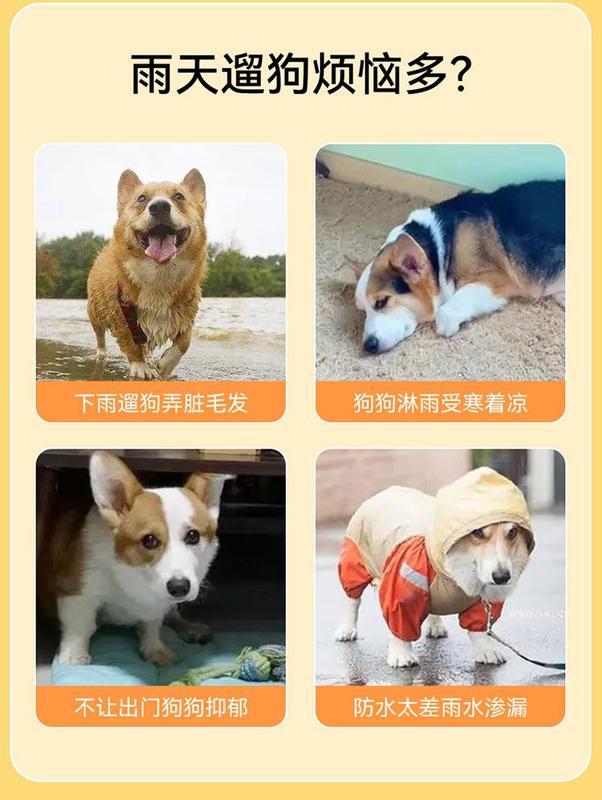 Product Introduction of Hippie Dog Corgi Special Dog Raincoat Small and Medium-Sized Dogs Teddy Shiba Inu Pet Rainy Day Clothes Waterproof Apron 2