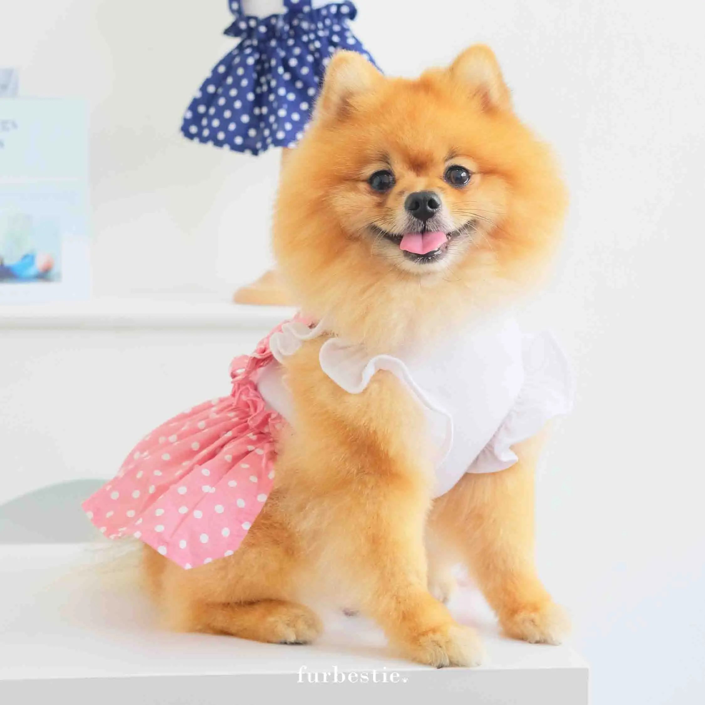 Furbestie by Pomapoo - Baju Kucing dan Baju Anjing Hanami Dress
