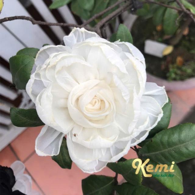 Hoa cài áo có ghim sẵn hoa thược dược voan tơ kích thước 10cm chất vải voan mềm cài áo váy, trang trí phụ kiện thời trang 1